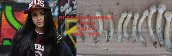 соль курить ск Алексеевка