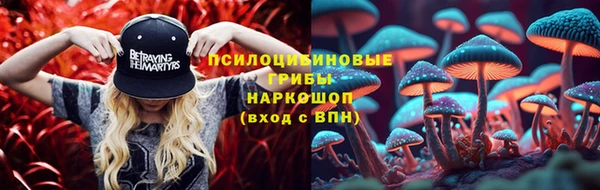 спайс Алексин