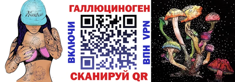 omg ссылки  Арзамас  Псилоцибиновые грибы GOLDEN TEACHER 